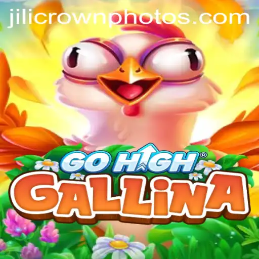 Exploring the Intriguing World of GoHighGallina: A Game of Strategy and Skill